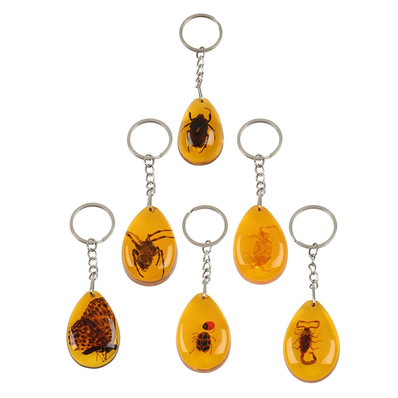 

1 шт. Янтарный Брелок для ключей, смола, насекомое, Speci, мужской Скорпион, паук, брелок для ключей для мужчин и женщин