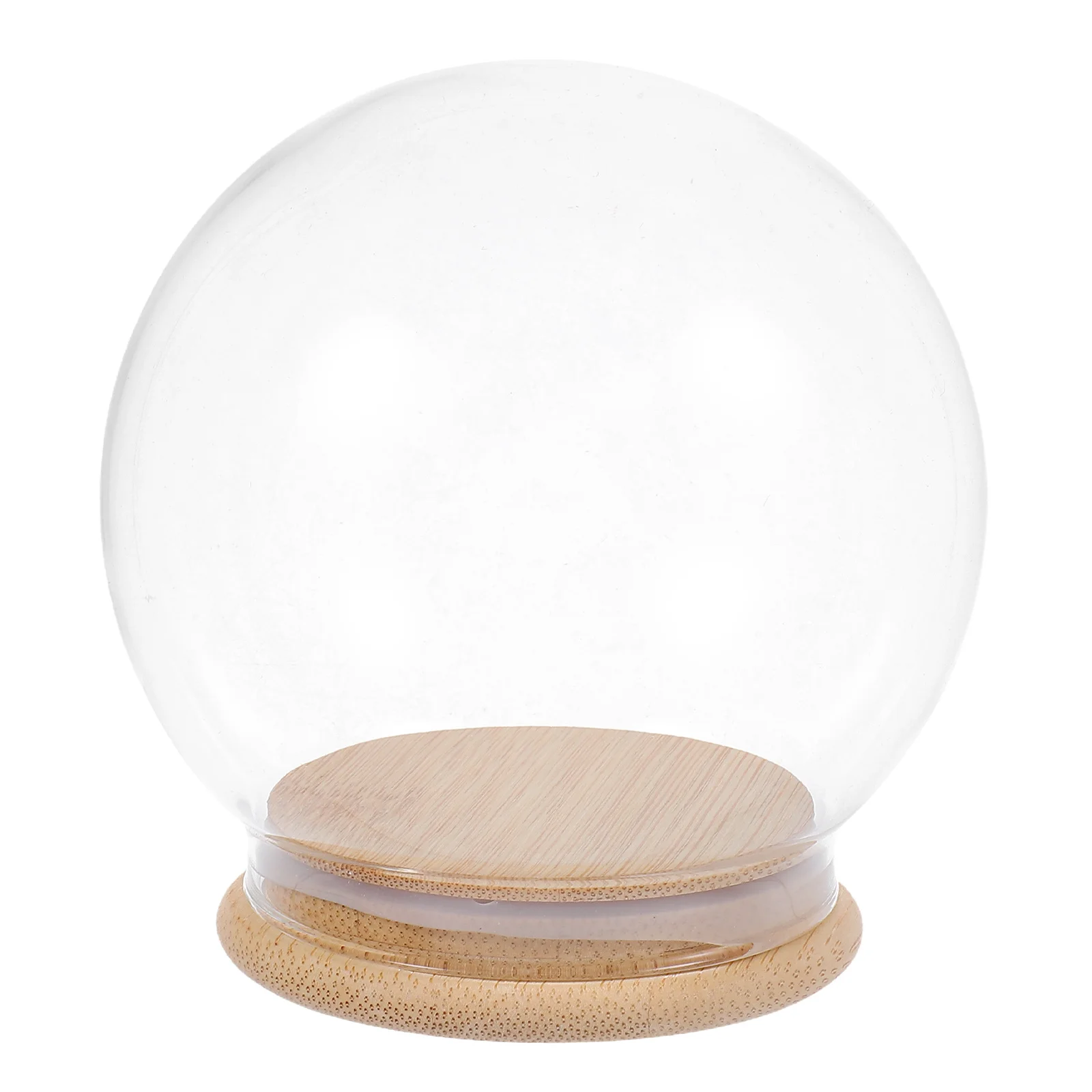 Стеклянная витрина с вечным цветком