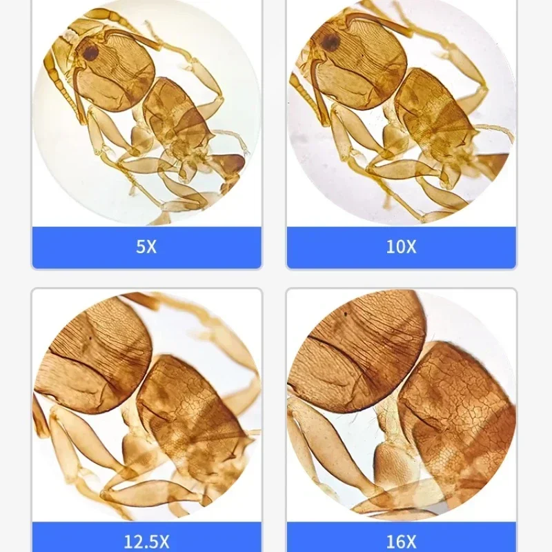 Фото Окуляры 5X, 10X, 12.5X, 16X с интерфейсом крепления 23.2 мм для биологического микроскопа Huygens серии XSP (для студентов) №4
