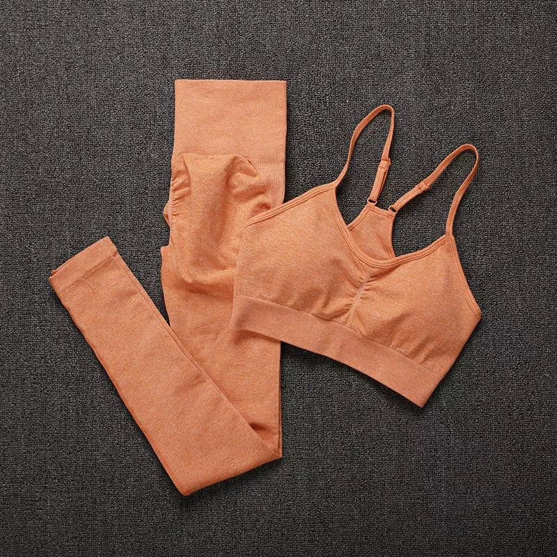 

New Two Piece Set Women Seamless Gym Sports Bra and High Waist Leggings Outfits Solid Color Fitness Tracksuit Women
