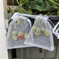 2050pcs fruit protection bags pest control anti bird garden netting strawberry bags mesh grapes drawstring planter grow bags