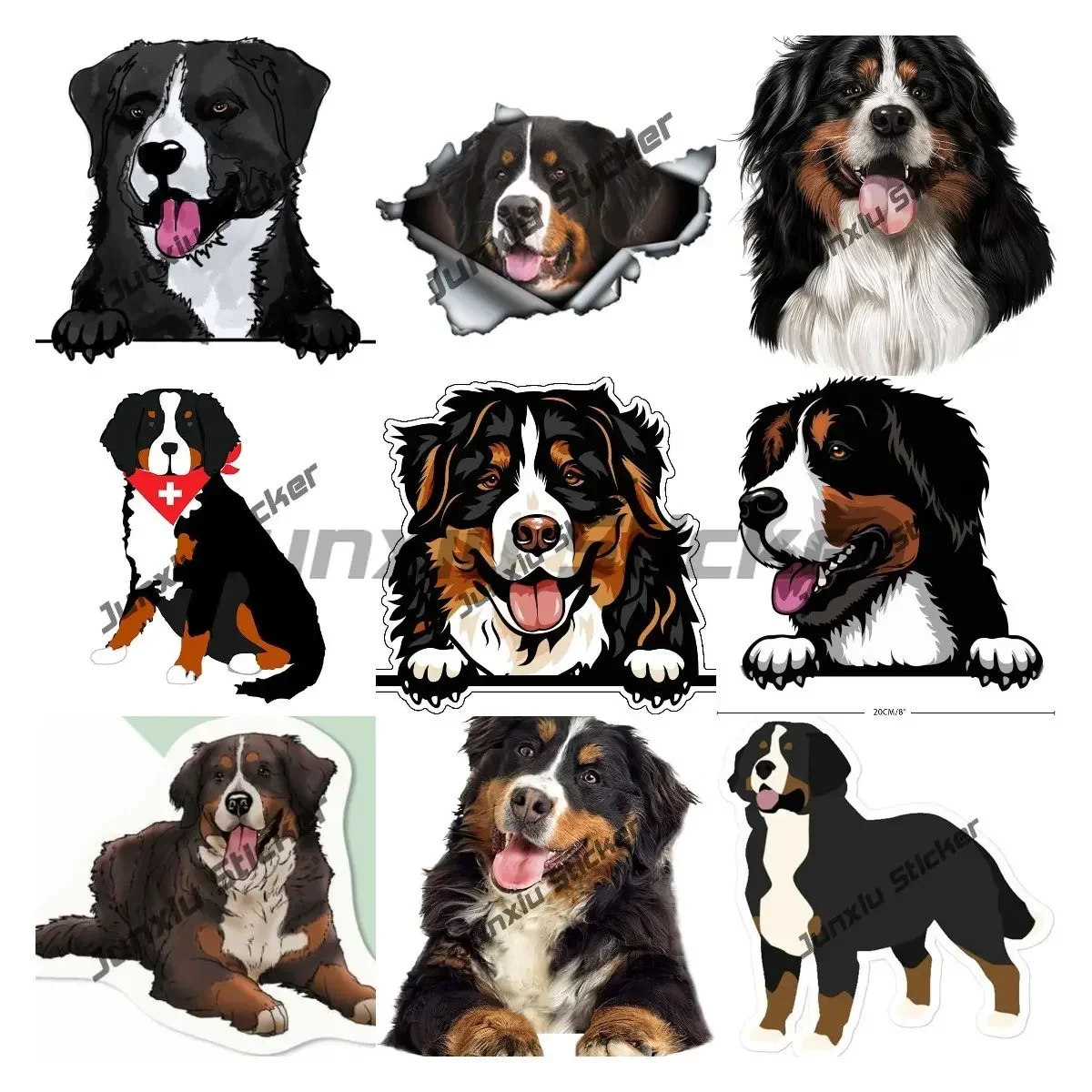 Милая наклейка с бернским гором Бернская гора на борту мультяшной собакой