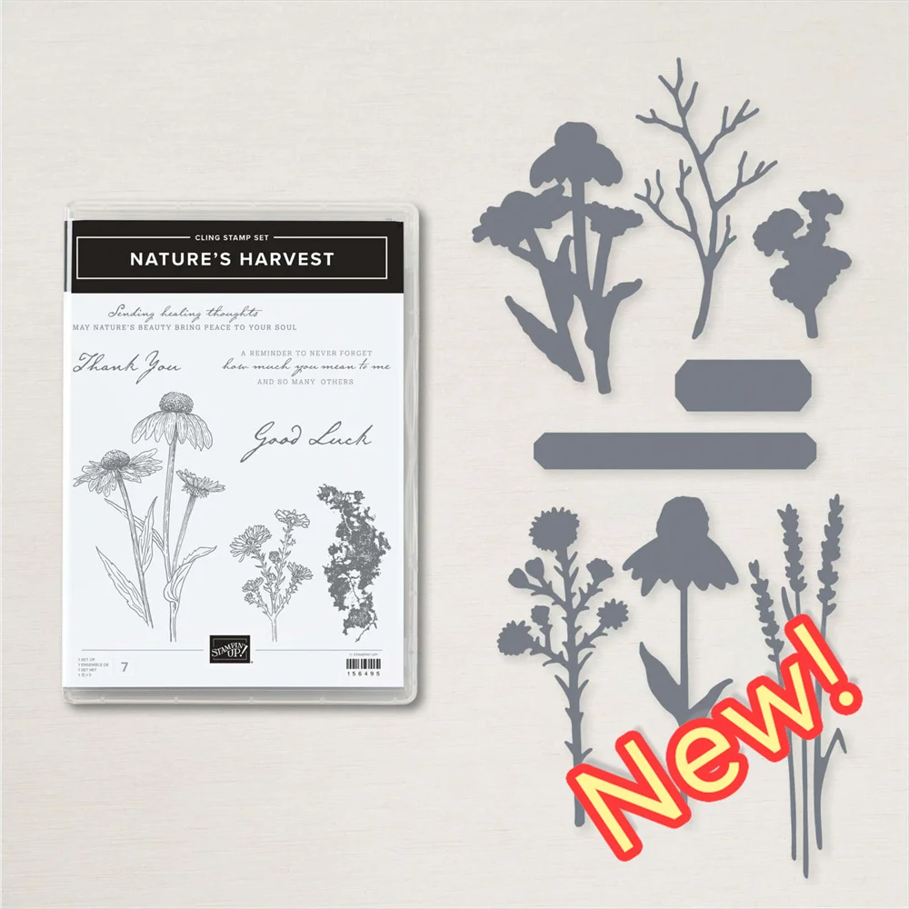 

Clever Cats Clear Stamps or Metal Cutting Dies Sets for Diy Craft Making Greeting Card Scrapbooking 2023 New Arrival Hot Sale