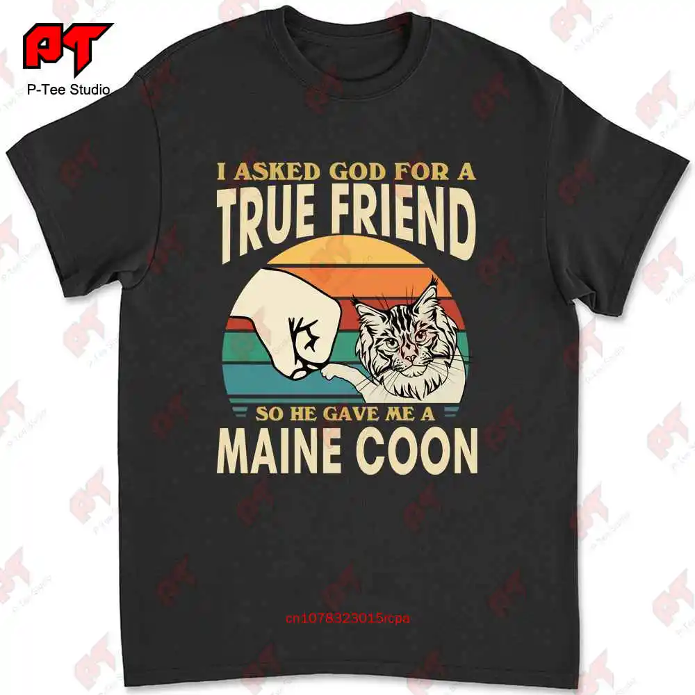 Я попросил Бога истинного друга он дал мне милую футболку с котом Мейн-енота