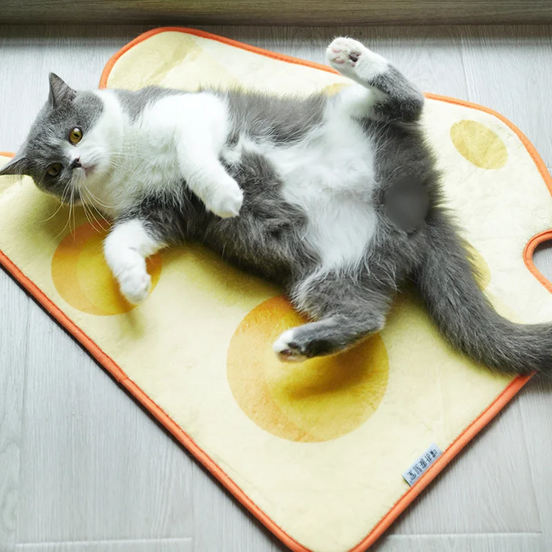 

Pet Sleeping Mat Cat Mat Dog Mat Cat Bed Dog Bed Decoration Living Room Door Mat Pet Supplies Cute Poached Egg Cheese Shape