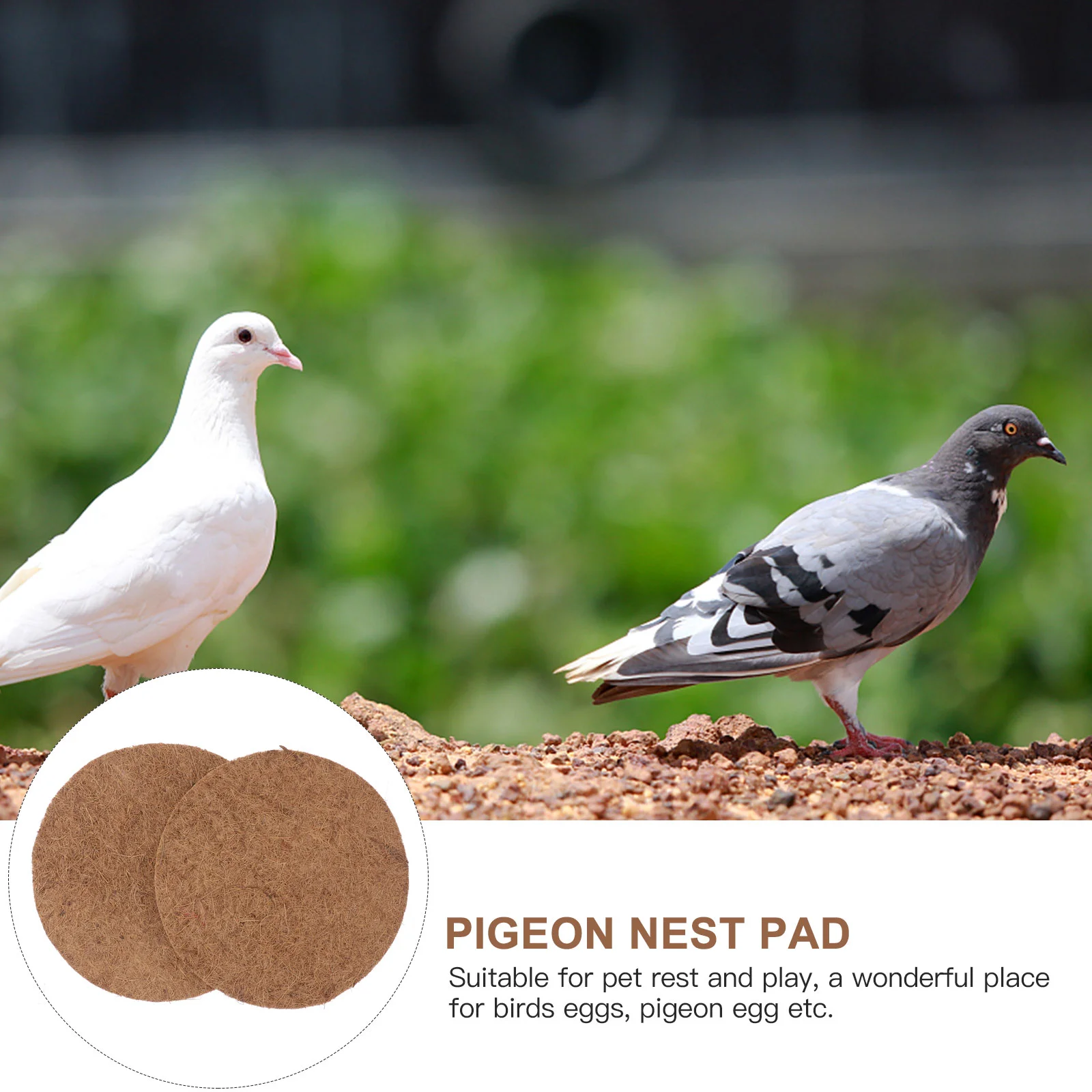 

Pigeonbird Mat Pad Nesting Breeding Egg Pads Chicken Supplies Eggs Pigeons Dovepalm Bowl Accessories Birds Naturalparrots