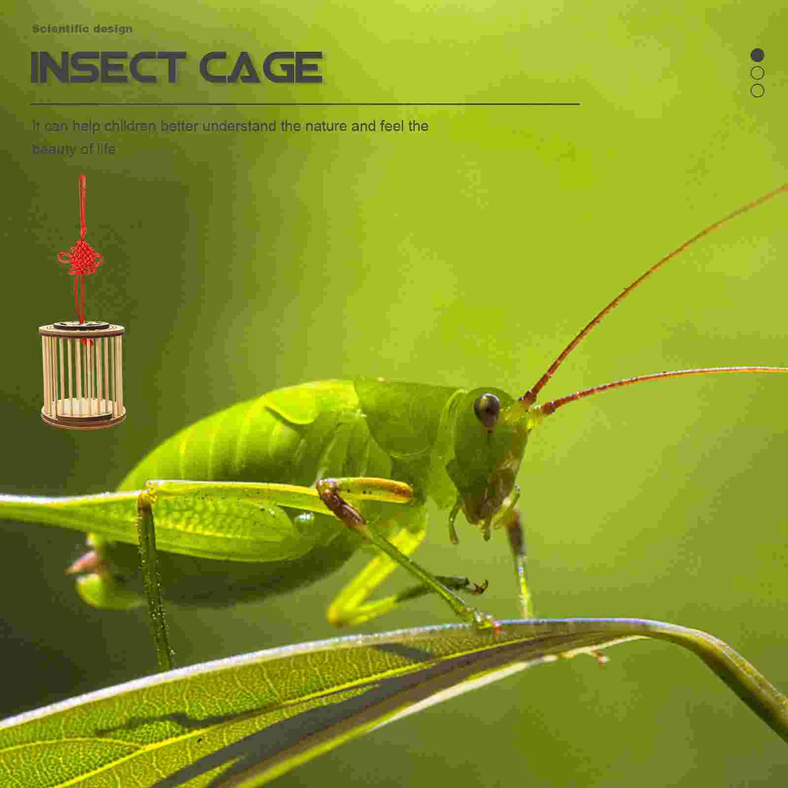 Транспортная клетка для переноски песен контейнер насекомых крикет из цельного