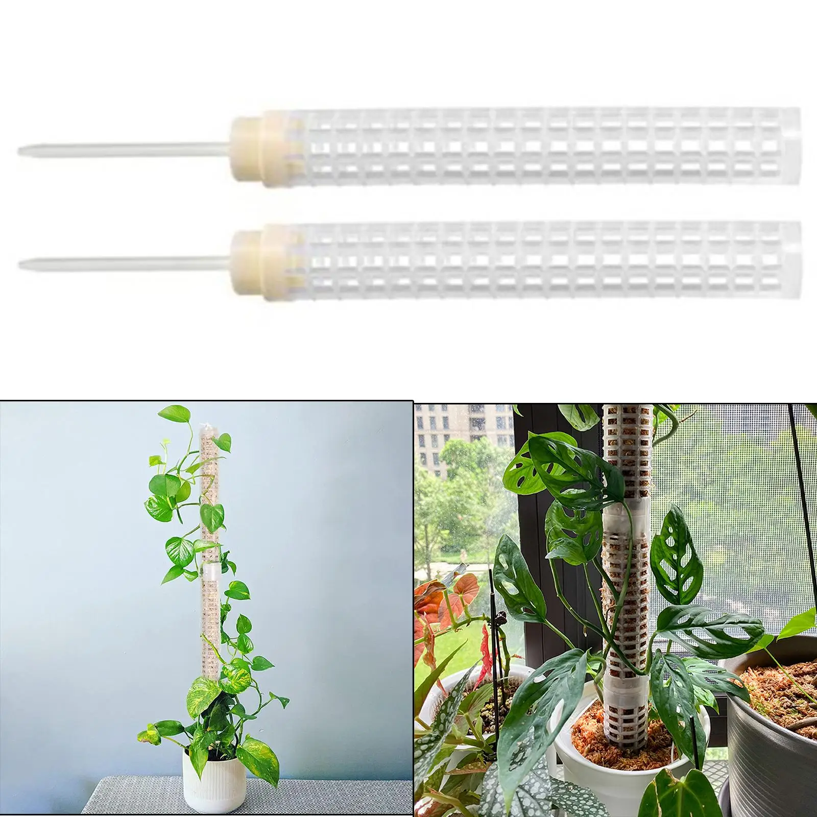 

Moss Pole Translucent Climbing Plant Plant Stakes for Potted Spagnum Orchid