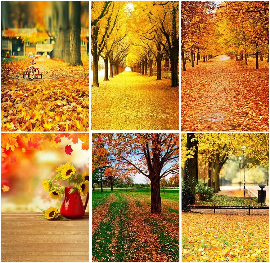 

Autumn Fall Backdrops Photographic Leaves Maples Forest Natural Scenery Landscape Backgrounds Studio Wall Decoration Portrait