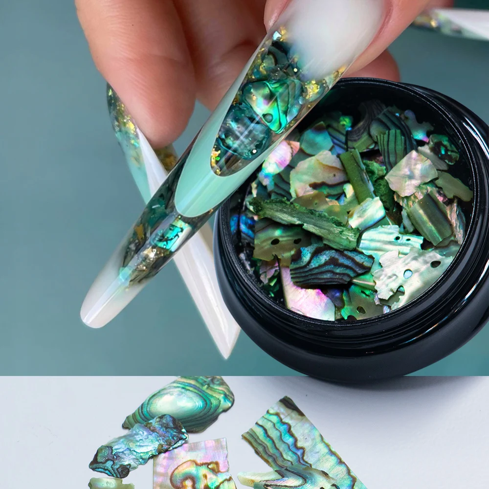 1 баночка текстура морской ракушки тонкая морская Морская ракушка кусочки для