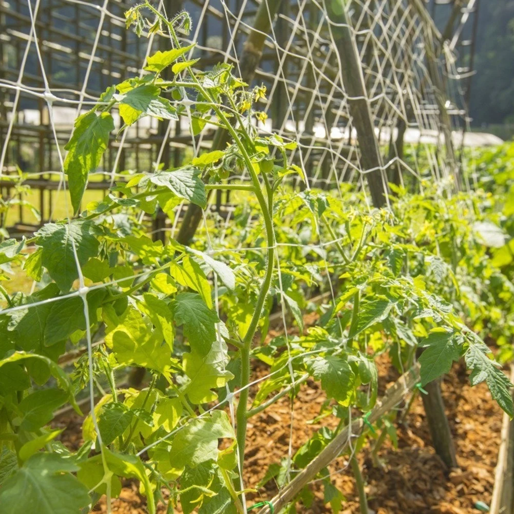 

Polyester Plant Trellis Netting Hydroponics Plant Supporting Vine Climbing Nets Home Garden Weaving Grow Holder Planting Net