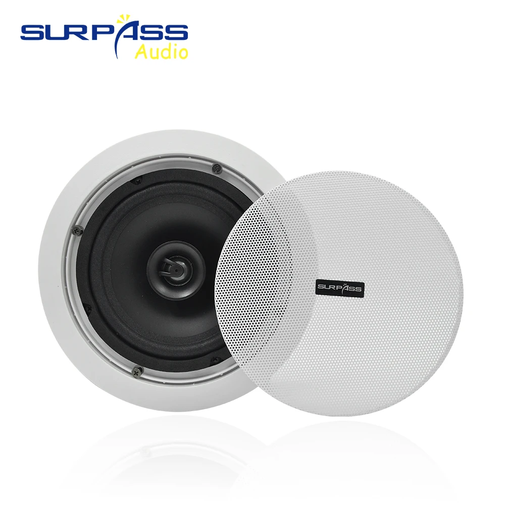 30W Class D Amplifier Wall Mount Speaker Surround Sound Living Room Active WIFI BT in Ceiling Speakers