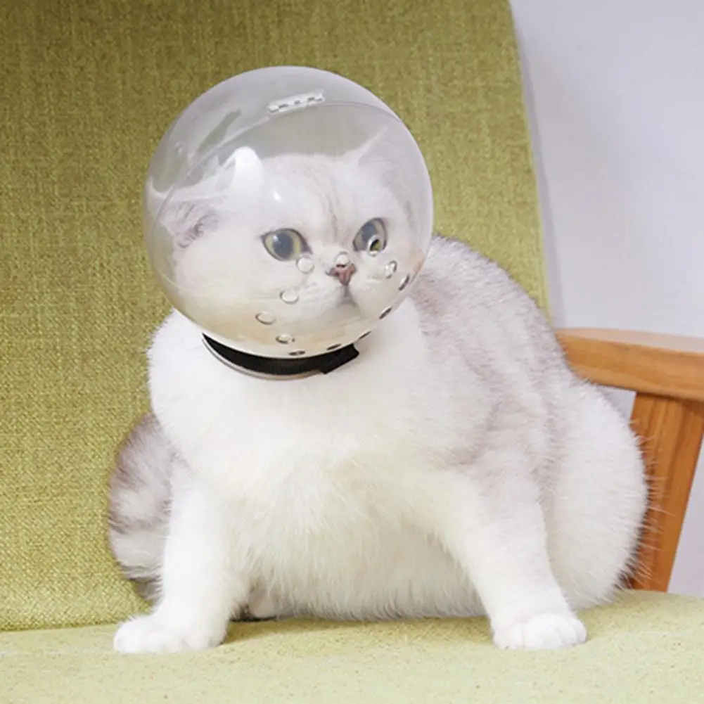 

Useful Space Hood Good Air Permeability Smooth Surface Breathable Round Cat Protective Helmet Kitten Helmet Anti-fall