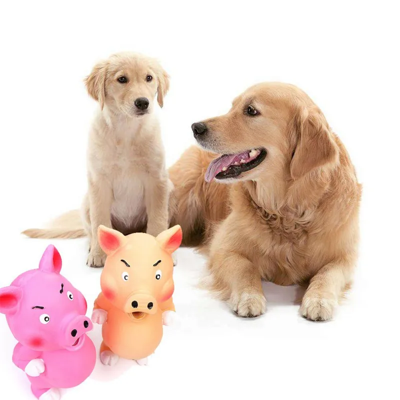 

Dog Toy Molar Teeth Bite Vocal Latex Toy Big Belly Screaming Pig Training Pet Supplies Squeaky Dog Toy Dog Accessories