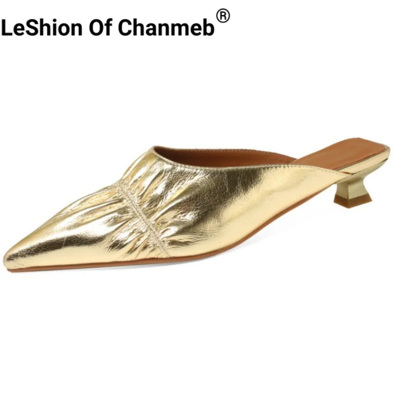 

LeShion Of Chanmeb Genuine Leather Gold Slippers Women Kitten Low Heel Slip-on Sandals Silver Pleated Designer Woman Slides Shoe