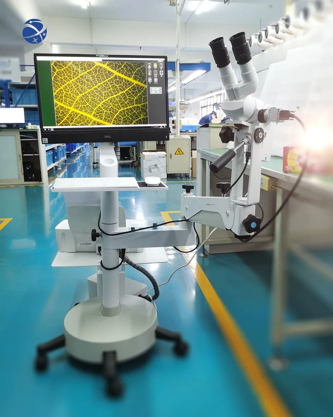 Kernel KN 2200BII медицинская гинекология вагинальная диагностика HD оптический