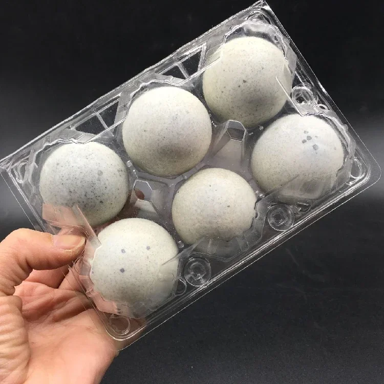 Прозрачный пластиковый лоток для яиц утки оригинальный пакет супермаркета