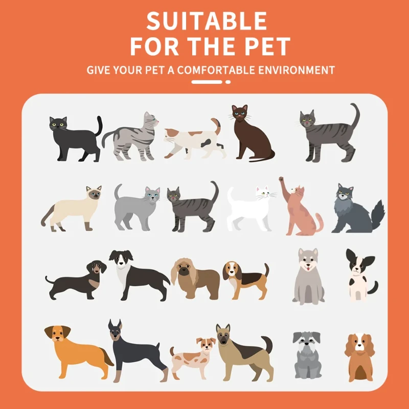 Домашняя собака кошка питомник супер большая лапша быстрого приготовления