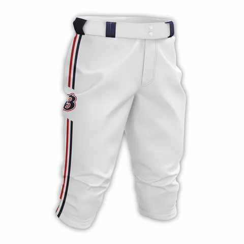 Дышащие профессиональные полосатые Полиэстеровые Бейсбольные брюки на молнии для мужчин и женщин - изображение