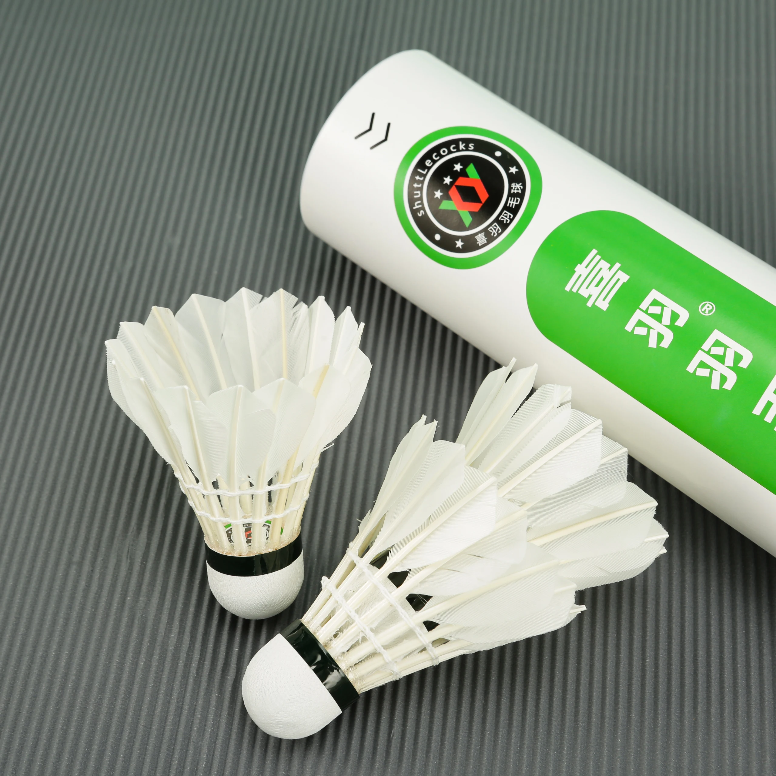 Рисунок 4 - Тренировочный бадминтон для на