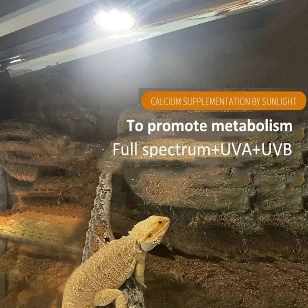 Фото Светодиодная лампа для рептилий полного спектра 5.0/10.0 UVA UVB, лампа для террариума, освещение E27, лампа для обогрева мелких животных, ночное видение №1