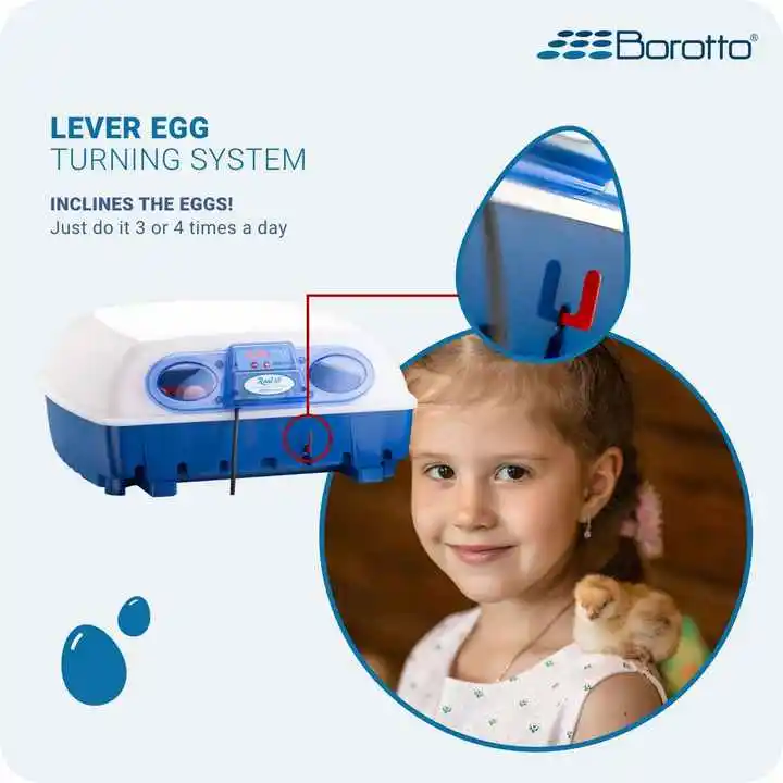 Инкубатор Borotto Real 49 Полуавтоматический инкубатор для яиц среднего размера