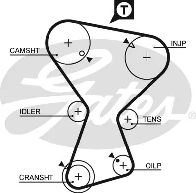 

Код магазина: 575xs для таймера KAYISI GALANT LANCER MIRAGE / PROTON 420 PERSONA 91 03 11.8d 8 в (×)