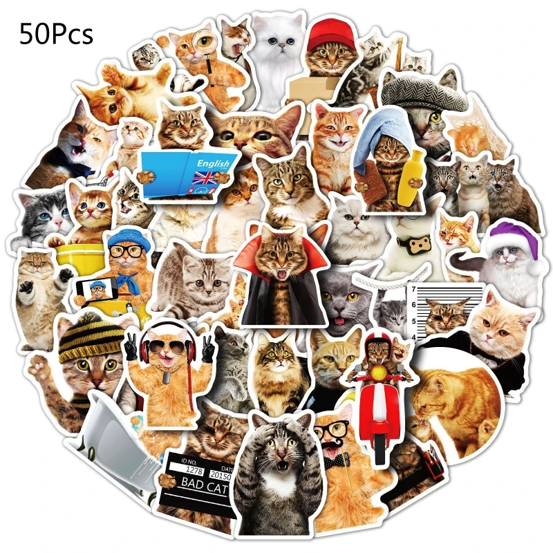 

Kitten Stickers Decorative Sticker Reusable Diary Scrapbook Computer Cup Journaling Sticker Kids Adults Party Set Dropshipping