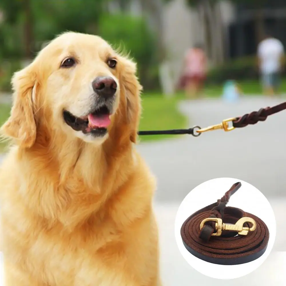 

PETWTILTIH Fashion Training Pet Collars Braided Faux Leather Dog Walking Leash German Shepherd Gift Pet Supply Supplies 2021