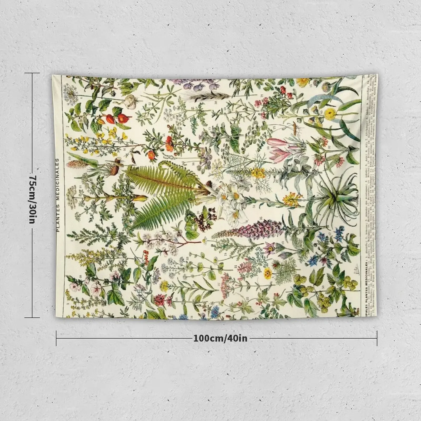 Адольф миллот лекарственные растения винтажная научная иллюстрация larcase