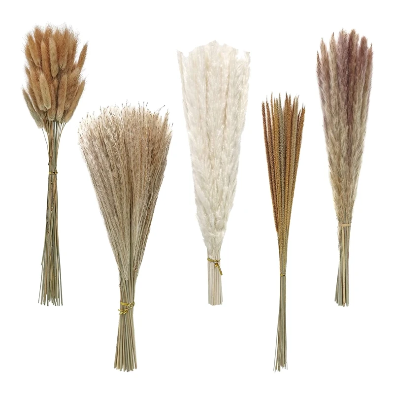 

Dried Pampas Grass Decor 145 PCS 17Inch 44Cm Natural Dried Pampas Grass Bouquet Boho Home Decor Tail Grass