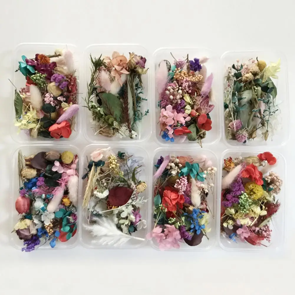 

1Box Dried Flower Lightweight Random Style Dried Flower Beautiful Dried Flowers for Handmade Candles