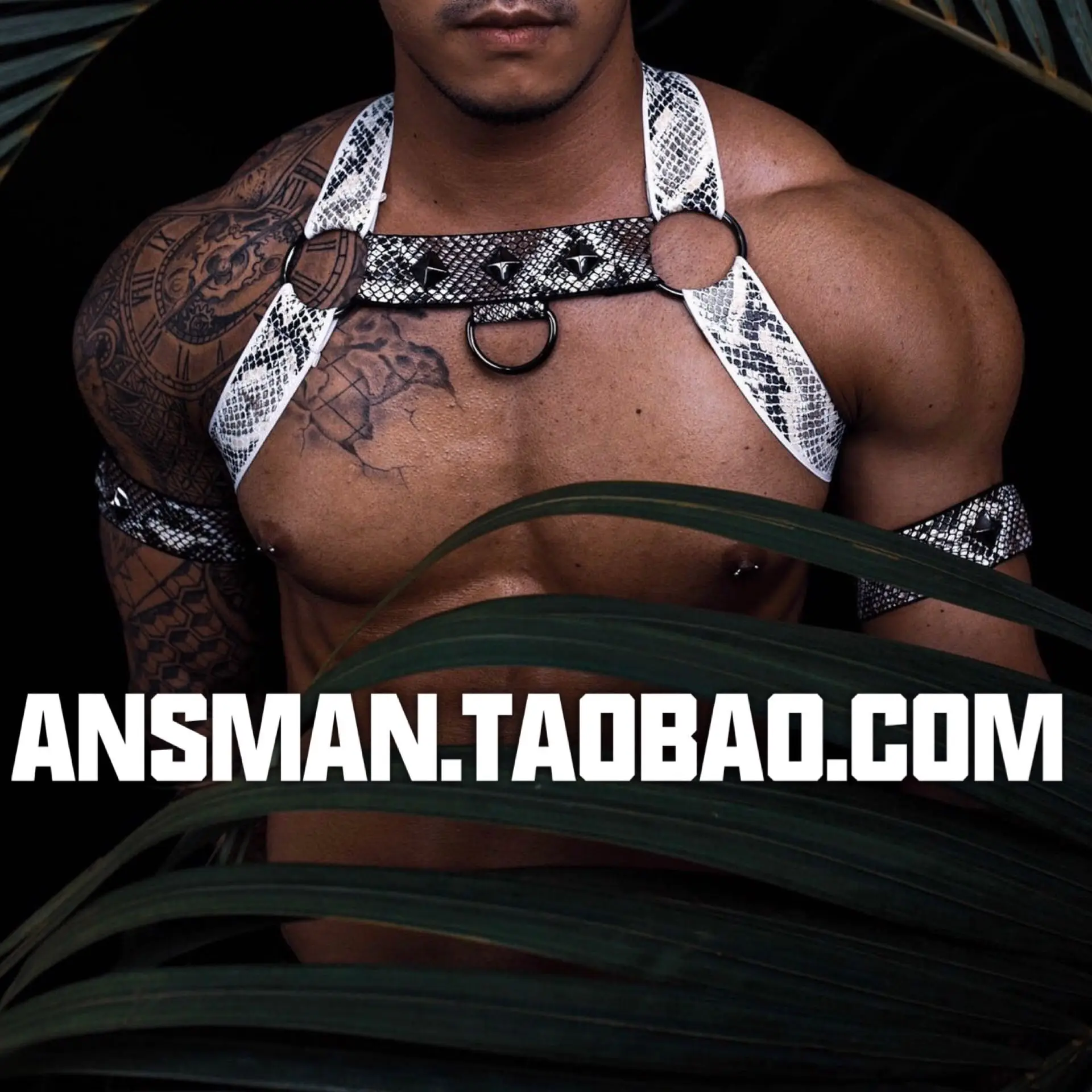 

Men's sexy visual big snake chest strap corset nightclub performance clothing accessories muscle men fashion performance stage