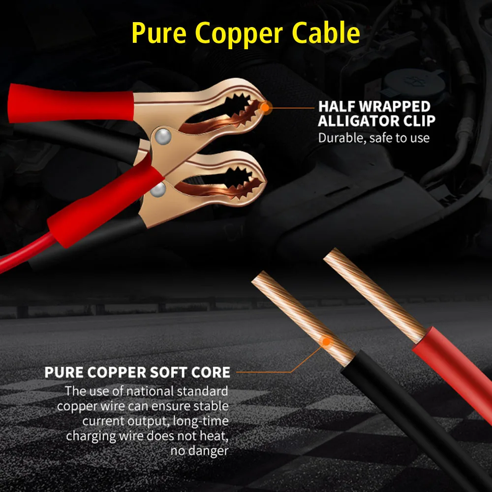 Вход 30 Вт 100 в/240 В для свинцово-кислотных аккумуляторов AMG автомобильные