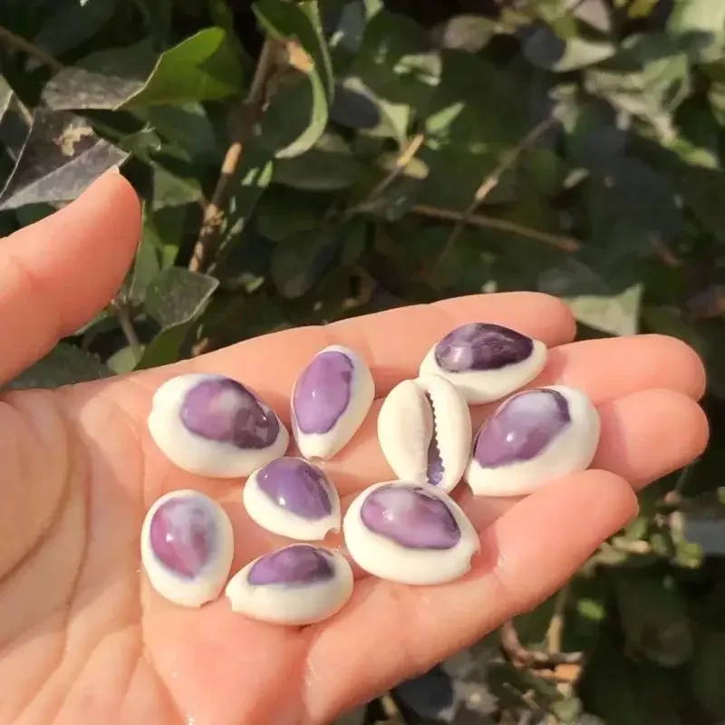 Натуральная раковина фиолетовый аквариум украшение для аквариума мощение