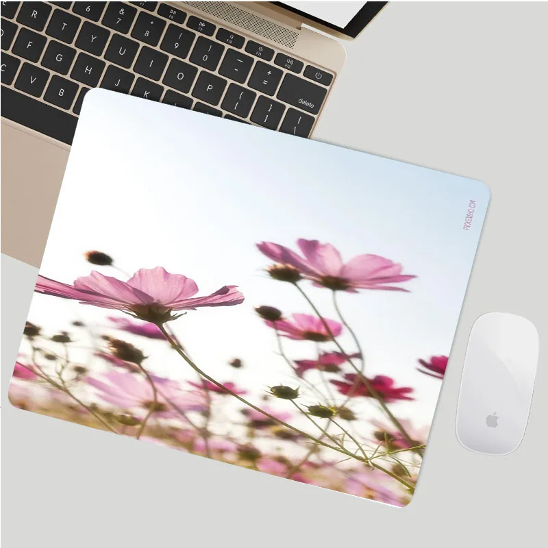 

Desk Table Pad Mouse Mat Rug Computer Accessories Keyboard Cherry Blossom Pc Desks Mini Carpet Keycaps Cheap Pc Gamer Cabinet