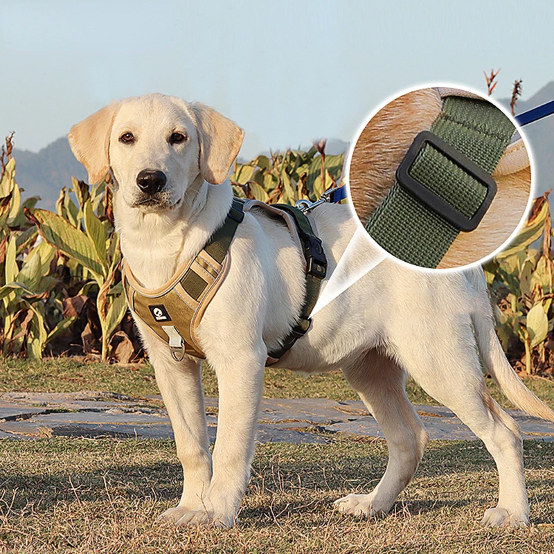 

Large Dog Reflective Rope Dog Lead Leash Dog Chain Walking Dog Vest Type Dog Rope Golden Retriever Labrador Chest Strap