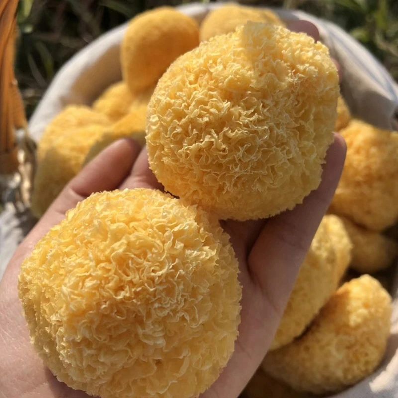 

Tremella Dried Mushrooms White Fungus White Jellyfungus Tremella Fucitormis Tremella,Snow Fungus Silver Ear Yiner Powder