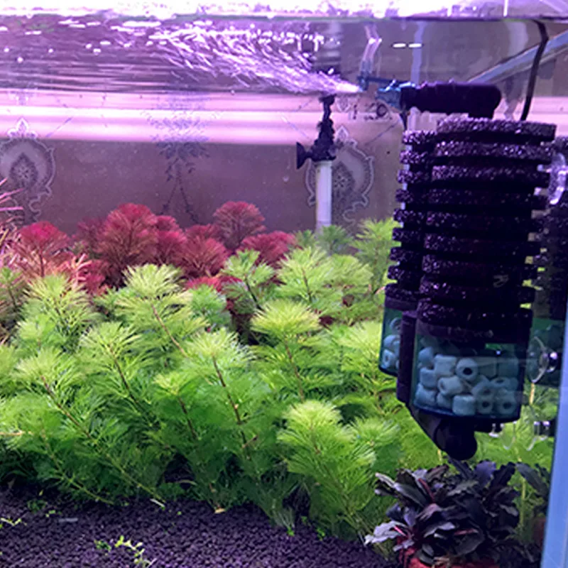 Аквариум С Полым Кварцевым Шариком Биохимический Губчатый Фильтр Для Воды