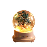 best selling creative gift bulb shape led light music box
