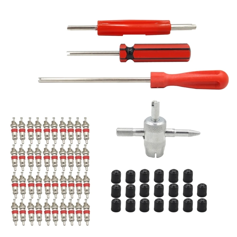 

094D 40 Pcs Stem Repair Tire Stem Removal & Installation Tool One Set