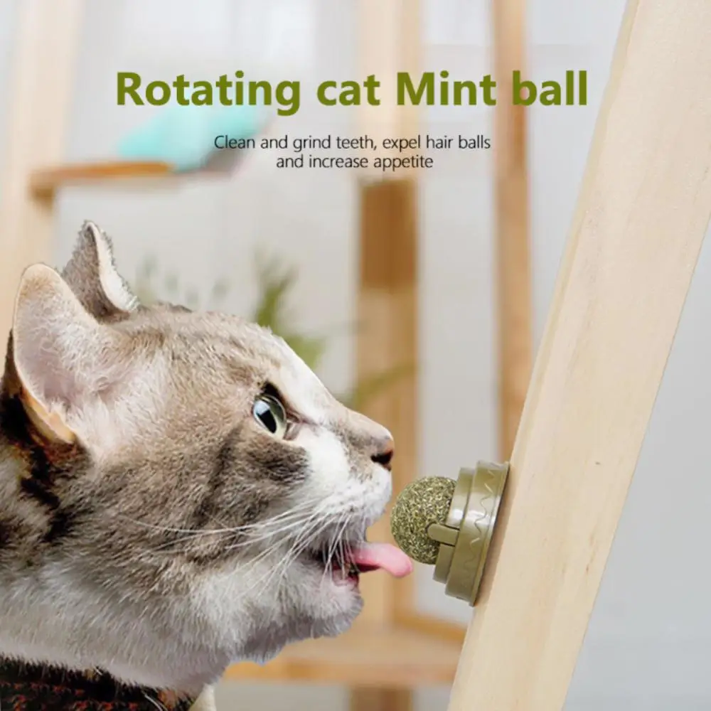 

Cat Catnip Toys Ball Cat Candy Licking Snacks Catnip Snack Nutrition Energy Ball Treats Kitten Toy Pet Stuff Healthy Cat Supplie