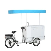 mobile electric cargo bike adult tricycle outdoor three wheels fast food vending cart sale drink snack ice cream