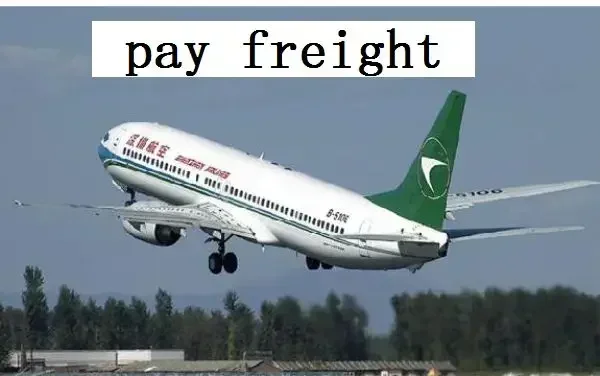 

Yun Yi Microchip Smart Surefeed Intelligent Pet Feeder Cat Dog Microchip Sence Feeder Pet Animal