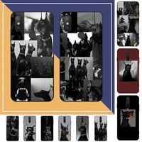 animal dachshund doberman dog phone case for redmi note 8 7 9 4 6 pro max t x 5a 3 10 lite pro