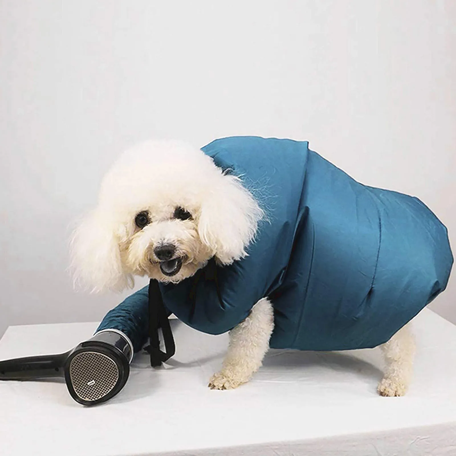 Сушка для собак. Автоматическая сушильная камера-бокс wikigroom fs-g2. Компрессор для выдувания шерсти у собак. Сушка для собак. Сушка для собак.