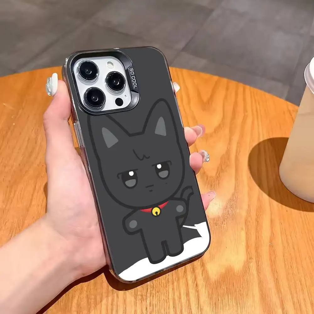 Фото C-Cute A-ANITEEZ чехол для телефона для iPhone 17 16 15 14 13 12 Pro Max серый черный матовый лазерный металлик Aurora Funda №2