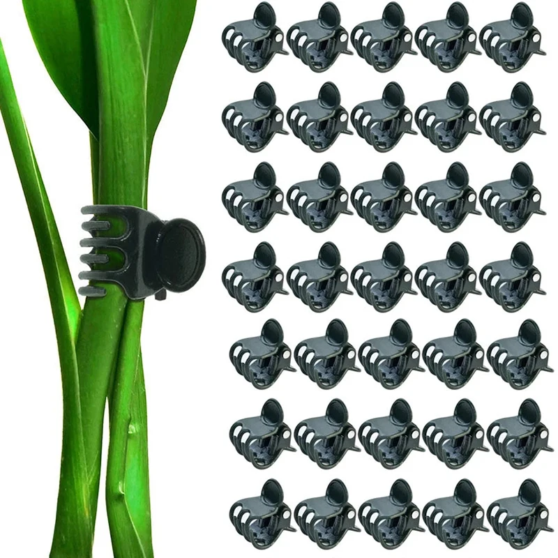 

20/100/200PCS Plastic Plant Support Clips Orchid Flowers Support Clamp Plants Bracket Fruit Vegetable Clamping Home Garden Tool