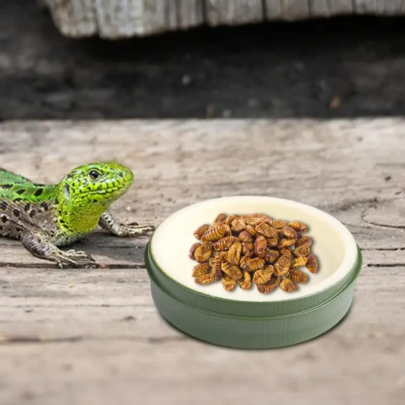 Блюдо для воды рептилий миски еды и блюдо миска тарелка рак-отшельника лягушки
