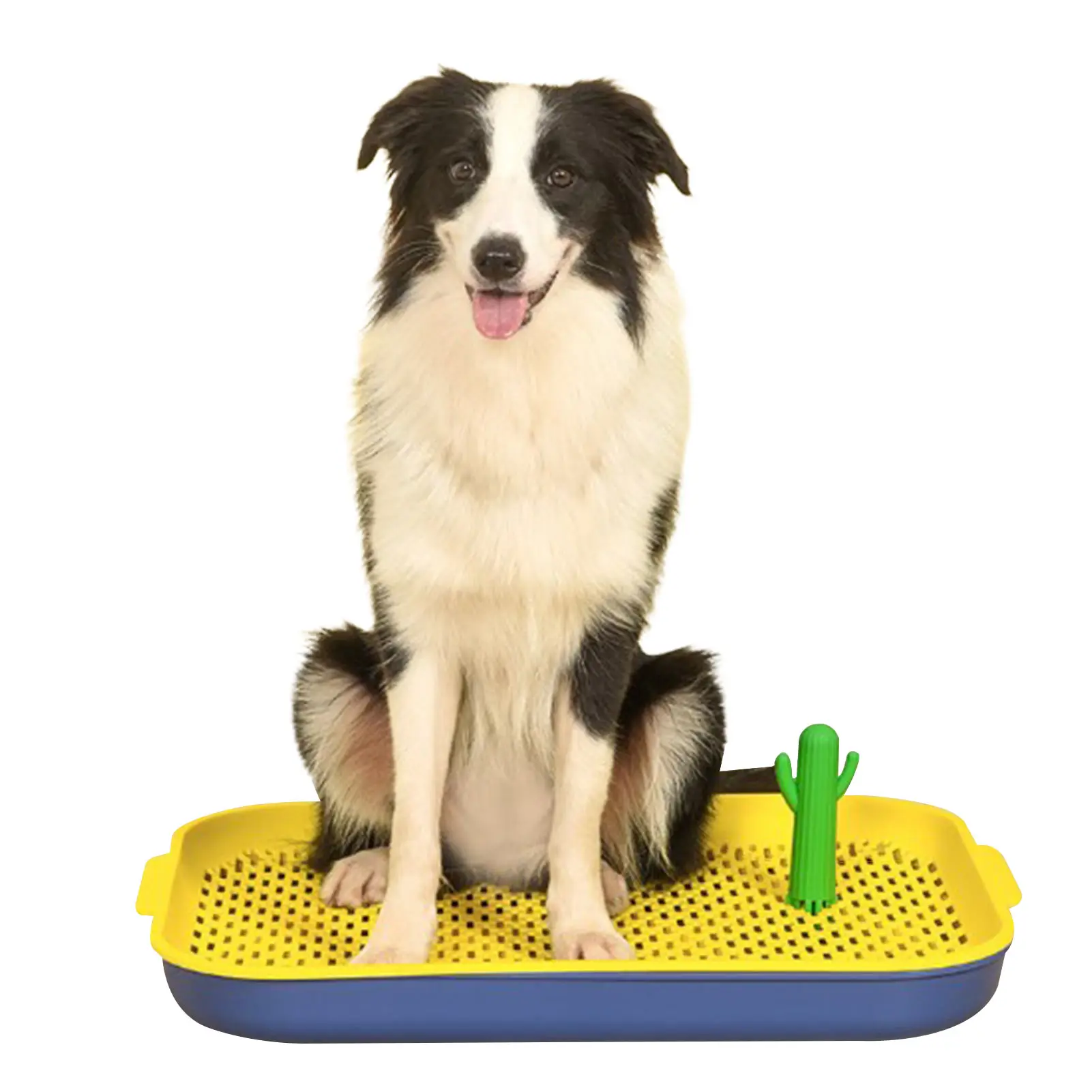 

Indoor Dog Potty Tray Indoor Dogs Potty Training Toilet With Cactus Pad Holder Works With Most Training Pads Easy To Clean And
